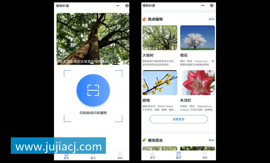 植物科普扫码系统