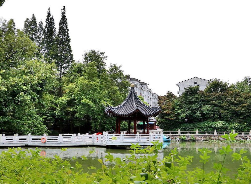 深圳 · 龙潭公园 深圳 · 龙潭公园